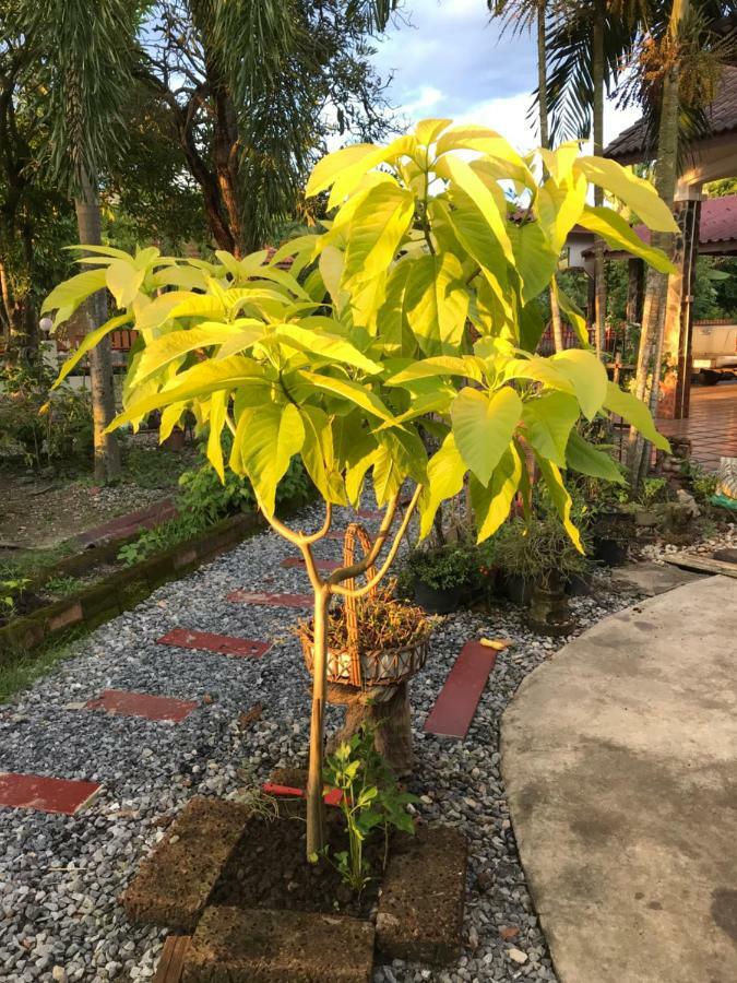 Grandma'S House Lejlighed Nakhon Nayok Eksteriør billede